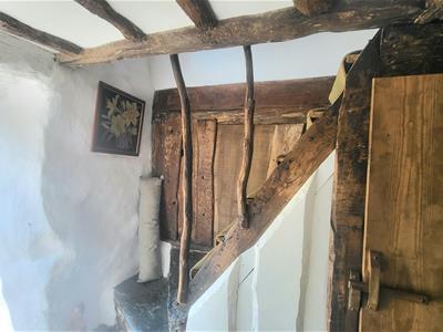 Picture 16
